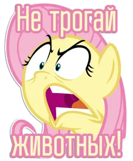 🤬 Fluttershy My Little Pony Не трогай животных! pony, cartoon, sticker, cute, animal, russian, warning telegram sticker
