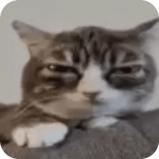 Больше стиков тут: @stikery4 whatsapp stickers