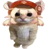 🐈