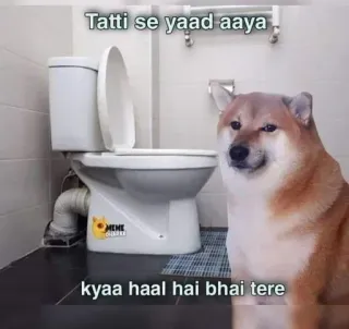 💩 Tatti se yaad aaya
kyaa haal hai bhai tere Meme, Doge, Inodoro, Divertido, Perro, Humor telegram sticker