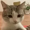 😶