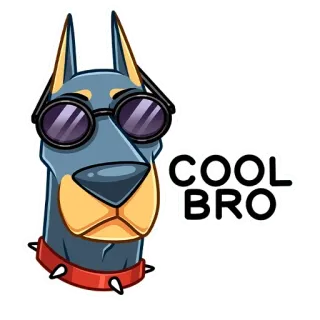 😎 COOL BRO собака, круто, братан, солнцезащитные очки, наклейка whatsapp sticker