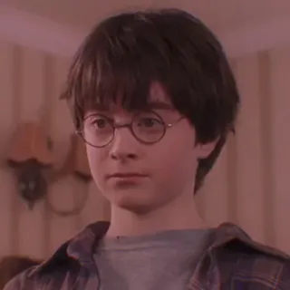 🦁 Harry Potter harry potter, daniel radcliffe, mago, niño, magia, gafas, retrato whatsapp sticker