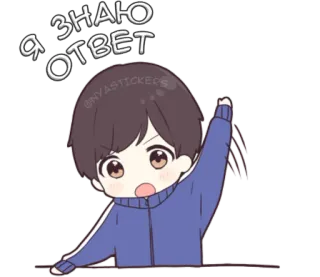 Сора кун @nyasticks telegram stickers