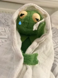 🐸 Kermit Kermit la rana, triste, piangere, Muppets, Meme, asciugamano telegram sticker