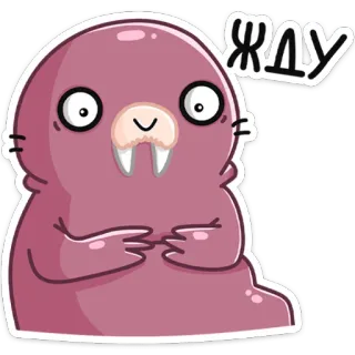 ⏳ ЖДУ animal, morsa, lindo, dibujos animados, pegatina telegram sticker