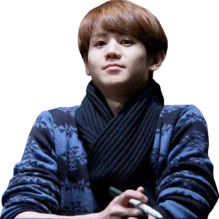 🙂 portrait, man, asian, sweater, scarf telegram sticker