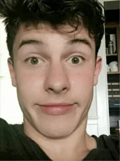 🙃 Shawn Mendes Shawn Mendes, cantante, celebrità, ritratto, maschio, viso telegram sticker
