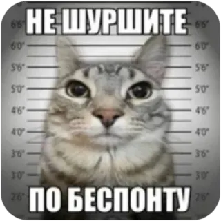 Больше стиков тут: @stikery4 telegram stickers