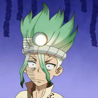 🗿 Senku Ishigami Dr. Stone anime, character, dr. stone, senku, senku ishigami, facial expression telegram sticker