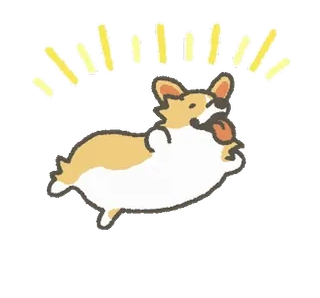 🤩 corgi, hond, blij, schattig, dier, huisdier whatsapp sticker