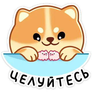 😘 ЦЕЛУЙТЕСЬ 만화, 시바견, 개, 귀여운, 키스, 동물 telegram sticker