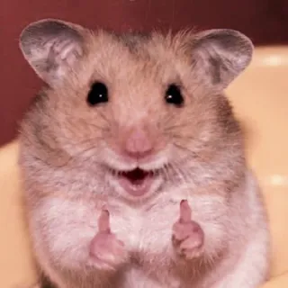 🤏 hamster, rodent, animal, cute, thumbs up telegram sticker