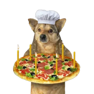 🍕 dog, pizza, chef, food, animal, candles telegram sticker