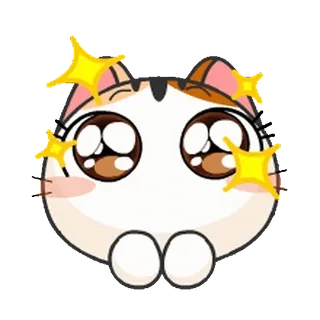 🤩 แมว, น่ารัก, ประกาย, คาวาอิ, น่าเอ็นดู, สติกเกอร์ telegram sticker