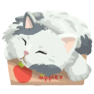 😴 apples gatto, mela, carino, animale, adesivo, gattino, dormire telegram sticker