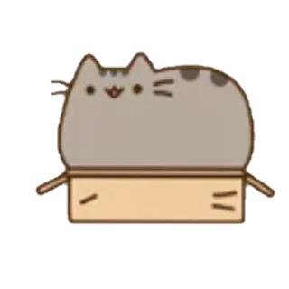 📦 Pusheen gato, caja, dibujos animados, Pusheen, lindo, animal, mascota whatsapp sticker
