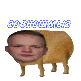 😑 говномшыг มีม, แกะ, ตลก, ภาพเหมือน, ข้อความ, ตัวละคร telegram sticker