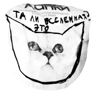 🤔 cat, animal, sticker, doodle telegram sticker