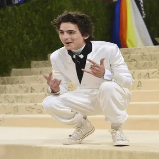 😎 Timothée Chalamet актер, знаменитость, мода, белый костюм, официальная одежда whatsapp sticker