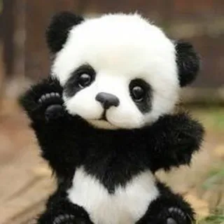 🐼 panda, animal, mignon, ours, jouet whatsapp sticker