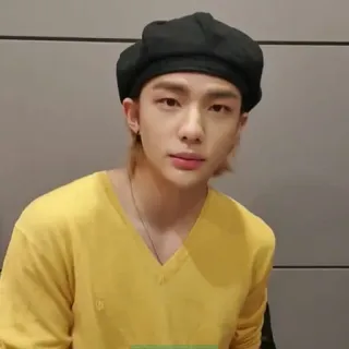 🍋 Hyunjin kpop, idol, stray kids, ritratto, asiatico, cantante telegram sticker
