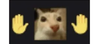 🌟 cat whatsapp sticker