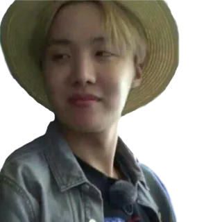 😏 사람, 모자, 캐주얼, 재킷, 남성 whatsapp sticker