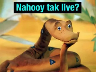 😞 Kaa The Jungle Book Nahooy tak live? telegram sticker