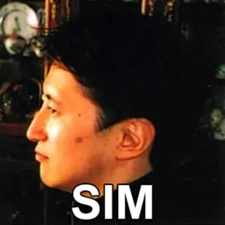 👍 SIM whatsapp sticker