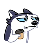 🤨 chó, husky, cà phê, mệt mỏi, động vật, meme telegram sticker
