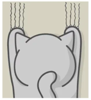 🐾 kat, krabben, dier, huisdier, schattig, huiselijk, katachtig telegram sticker