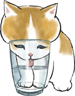 💦 cat, water, glass, cute, animal, pet telegram sticker