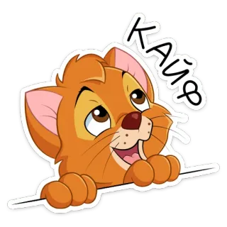 🤩 КАЙФ mèo, động vật, kawaii, dễ thương, nhãn dán, màu cam telegram sticker
