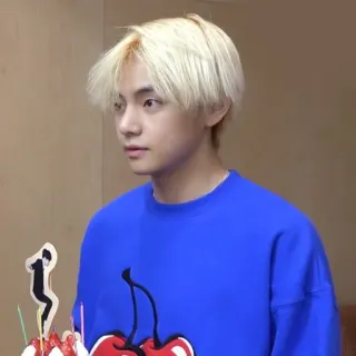 🐯 kpop, penyanyi, idola, korea, selebriti telegram sticker