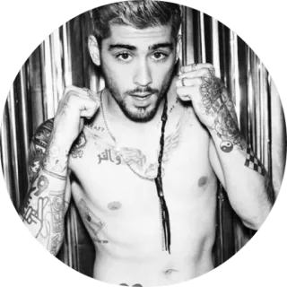 😌 Zayn Malik celebrity, singer, man, tattoo, topless telegram sticker