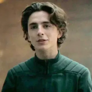 😐 Paul Atreides Dune dune, paul atreides, timothee chalamet, science fiction, movie, character telegram sticker