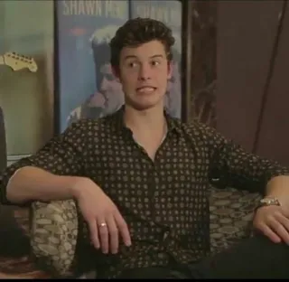 😬 Shawn Mendes musician, celebrity, portrait, singer, artist telegram sticker