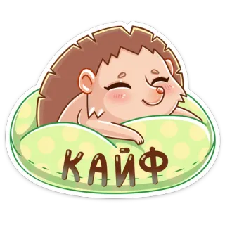 ☺️ КАЙФ hedgehog, cute, relaxing, russian, cartoon whatsapp sticker