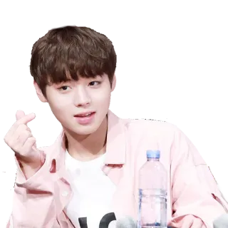 ❤️ корейский, K-pop, милый, парень, айдол, жест, любовь whatsapp sticker