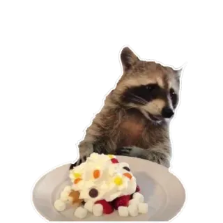 Habēmus más Raccoon telegram stickers