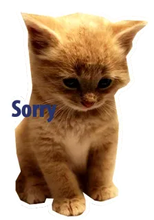 😔 Sorry ลูกแมว, แมว, เศร้า, ขอโทษ, น่ารัก, สัตว์เลี้ยง telegram sticker
