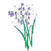🌷