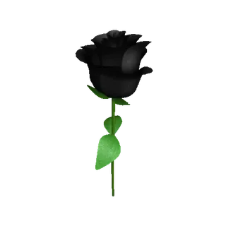 🌹 rosa, flor, negro, planta, oscuro telegram sticker
