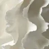 🤍