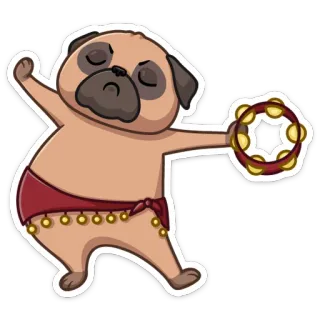 🥁 dog, pug, tambourine, cartoon, belly dance, animal, sticker telegram sticker