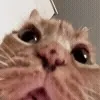 😟