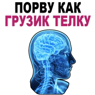 😊 ПОРВУ КАК ГРУЗИК ТЕЛКУ russian, text, brain, insult telegram sticker