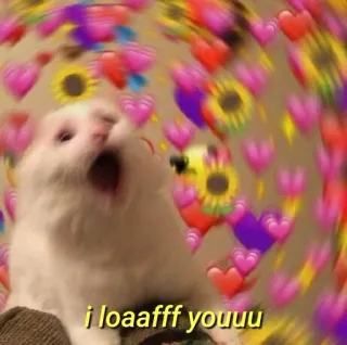 💛 i loaaafff youuu gato, amor, coração, fofo, animal de estimação, animal, meme telegram sticker