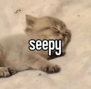 🛏️ seepy telegram sticker